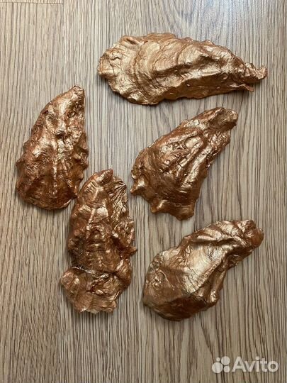 Живопись на устрицах