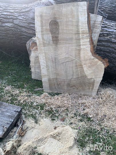 Спилы и слэбы дерева