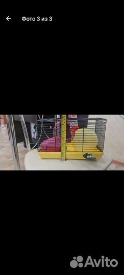 Клетка для хомяка/джунгарика