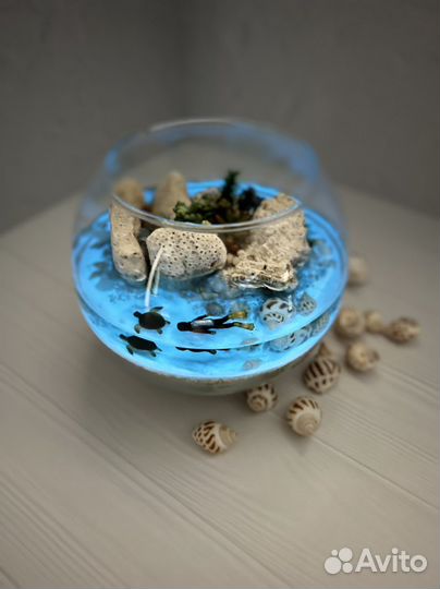 Флорариум, Моссариум Подарок