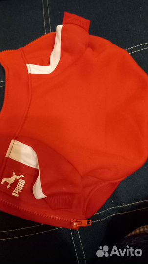 Худи для маленьких собак