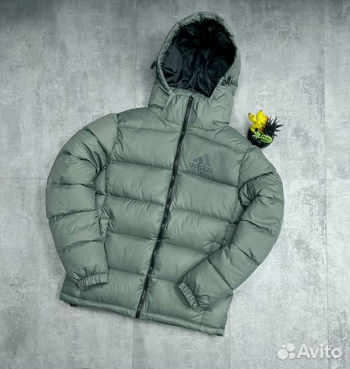 Зимние куртки Adidas