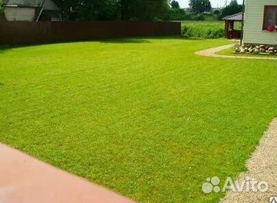 Газон рулонный