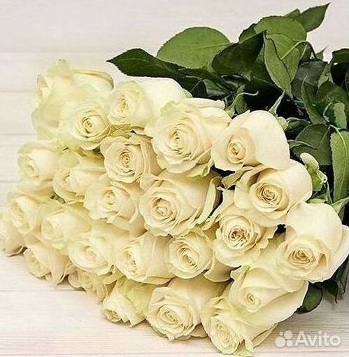 Высокие Розы с Доставкой