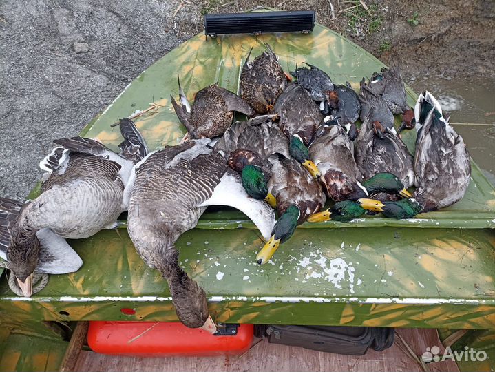 Охота -рыбалка