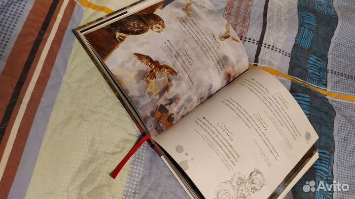 Гарри Поттер. Год с волшебством