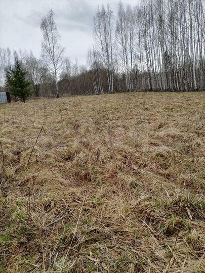 Участок 10 сот. (СНТ, ДНП)