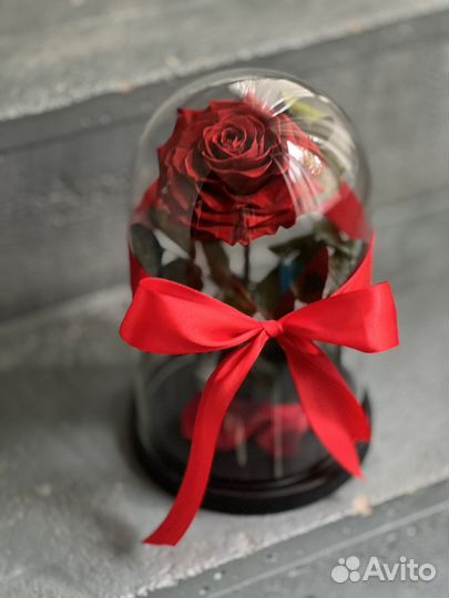 Роза в колбе