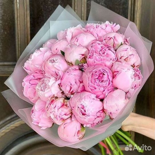 Пионы Букет пионов
