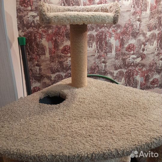 Когтеточка-домик, 3-х уровневая для кошек