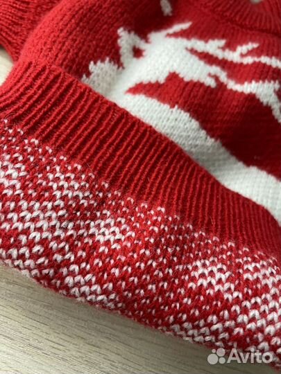 Одежда для собак мелких пород