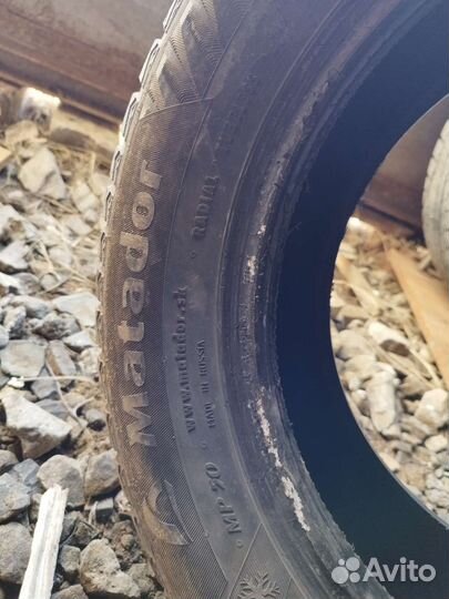 Matador MP 50 Sibir Ice 195/65 R15