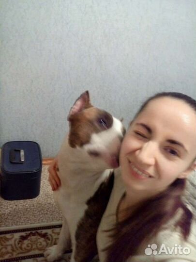 Передержка мелких домашних животных