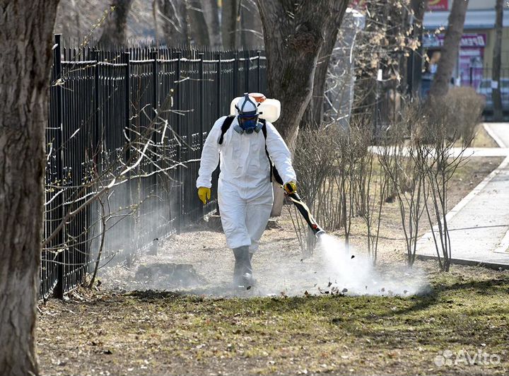 Обработка Уничтожение клещей, муравьев Дезинфекция