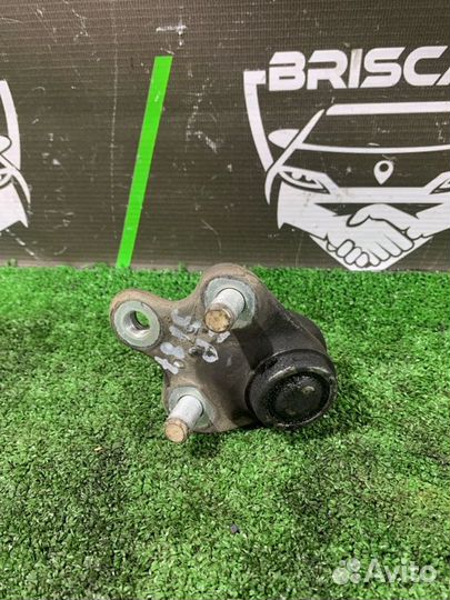 Шаровая опора передняя Toyota Corolla Runx NZE124