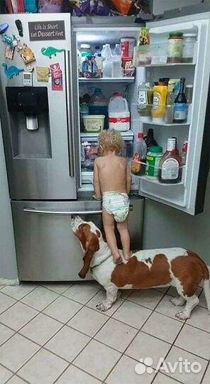 Ремонт холодильников и холодильного оборудования