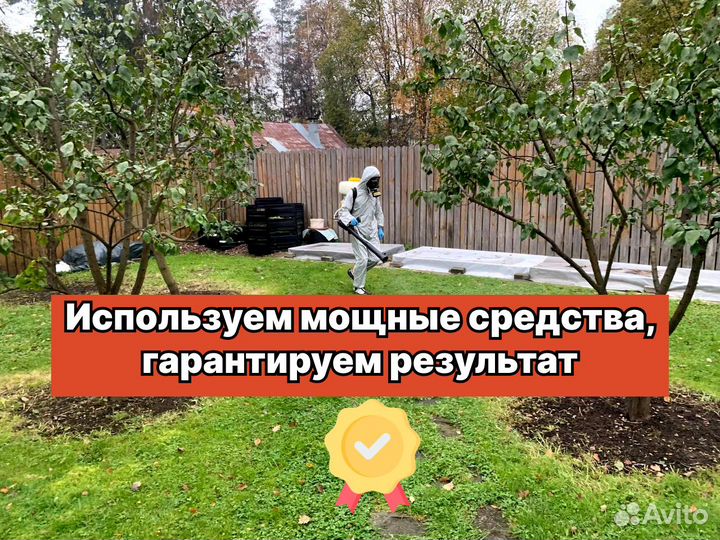 Уничтожение клопов, тараканов, мышей