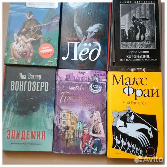 Книги. Патрушевская.Акунин. Улицкая