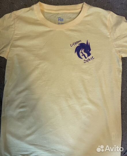 Футба Team Spirit