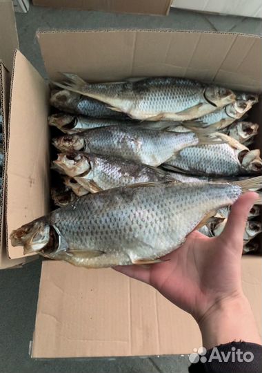 Астраханская Вобла с икрой