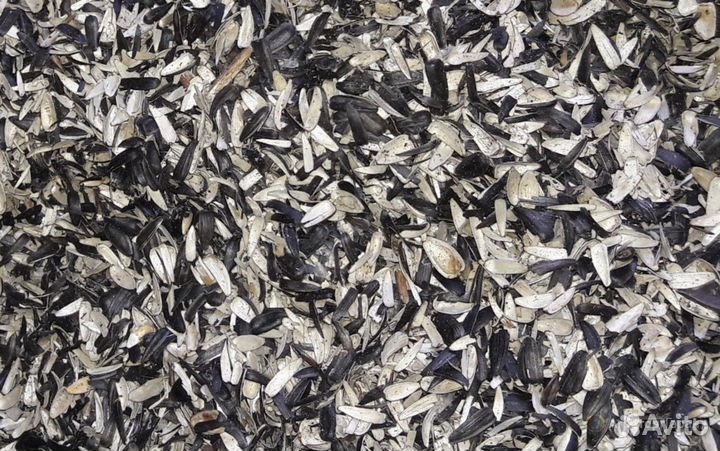 Лузга подсолнечника