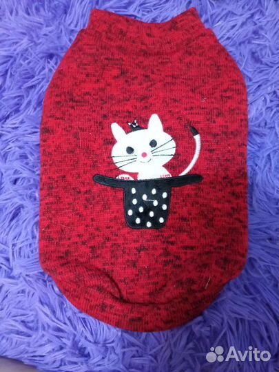 Одежда для котят
