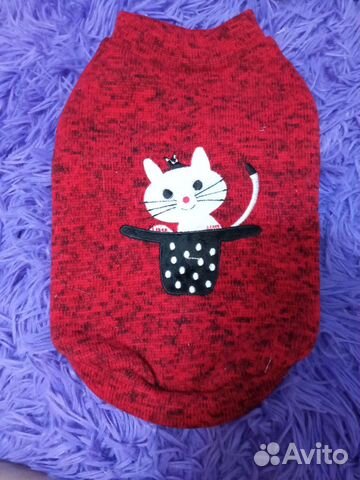 Одежда для котят