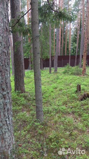 Земельный участок для базы отдыха у озера