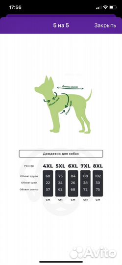 Дождевик для средней собаки