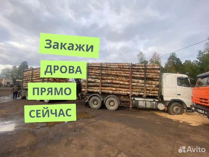 Дрова с доставкой