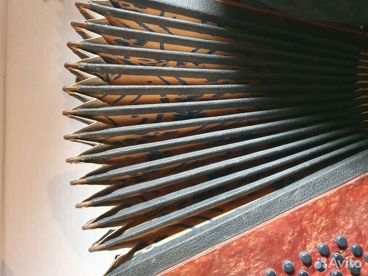 Гармонь Кременное