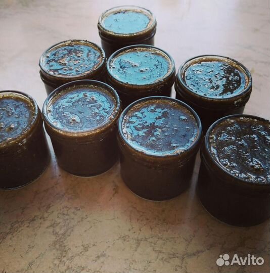 Медогон паразитарный