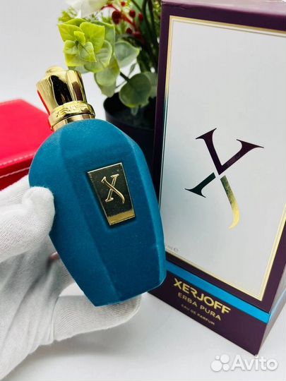 Xerjoff erba pura 100ml