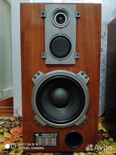 Колонки Амфитон 35ас-018