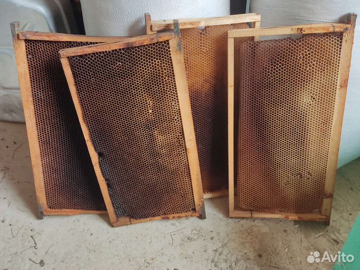 Суш рамки Рута для пчел