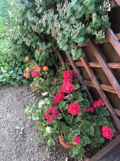 Дом 85 м² на участке 20 сот.