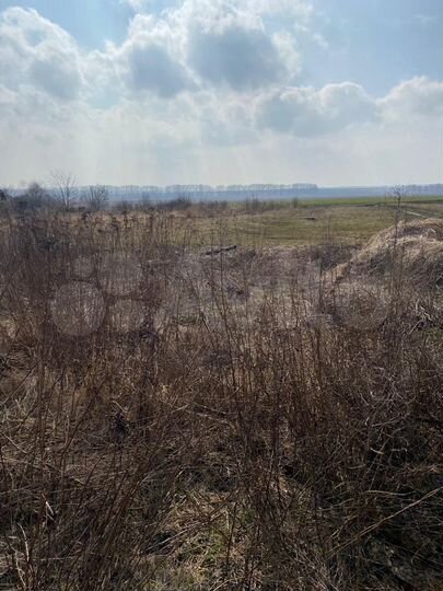 Участок 15 сот. (ИЖС)