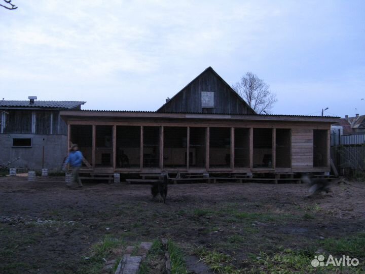 Гостиница для собак. дрессировка передержка