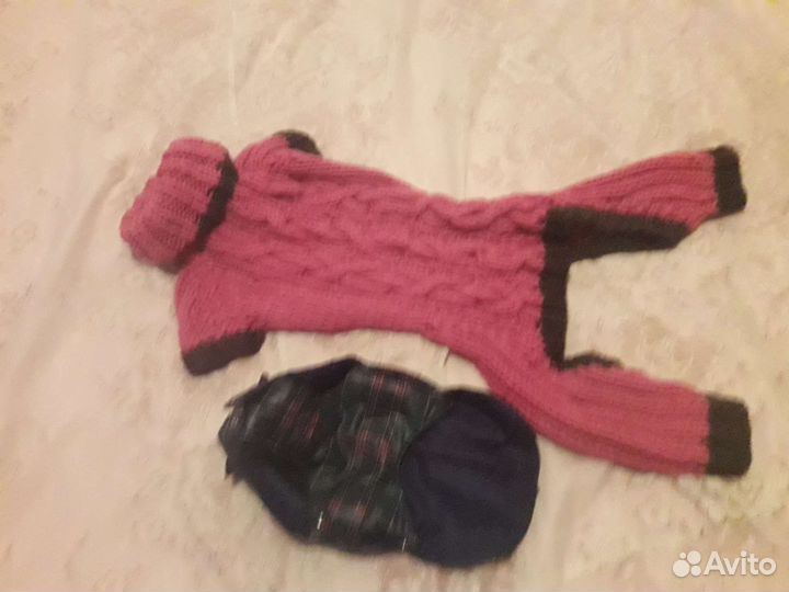 Комбинезон, ошейник, лежанка, рулетка