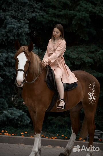 Прогулки на лошадях,конные прогулки,карета