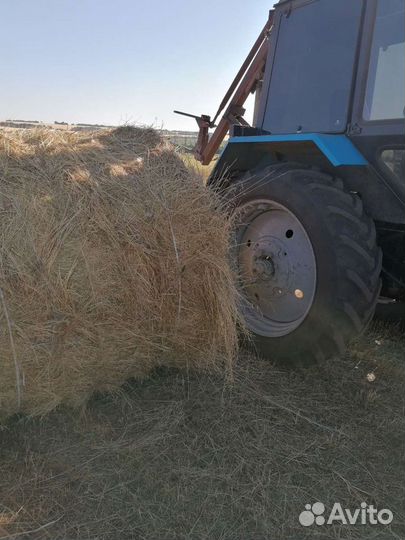 Продам сено