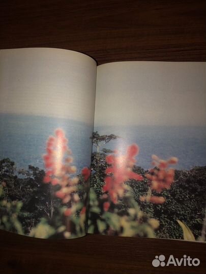 Легкие нашей планеты - Арнольд Ньюмен