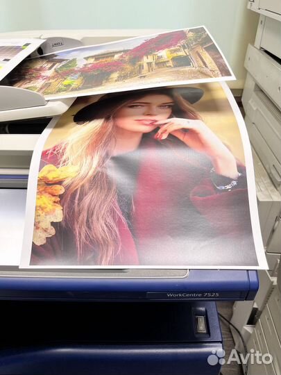 Мфу sra3+ до 300 гр. Xerox wc 7545