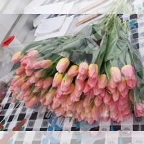 Тюльпаны к 8 марта