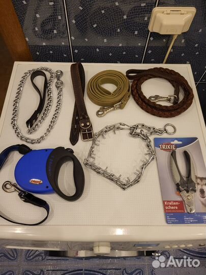 Амуниция для собак