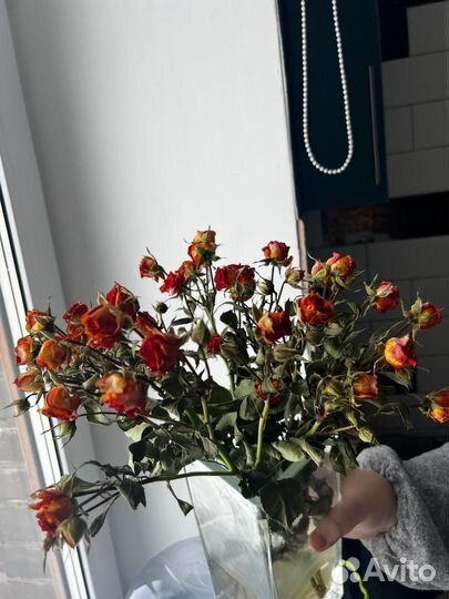 Сухие цветы