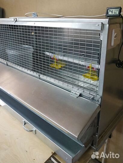 Брудер для цыплят