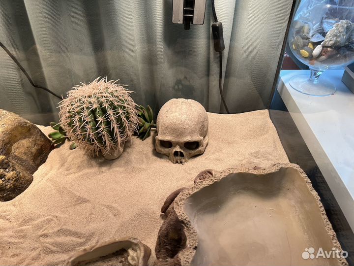 Террариум exo terra hagen 90x45x45