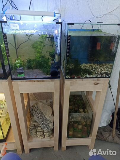 Аквариумные рыбки