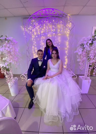 Ведущий тамада